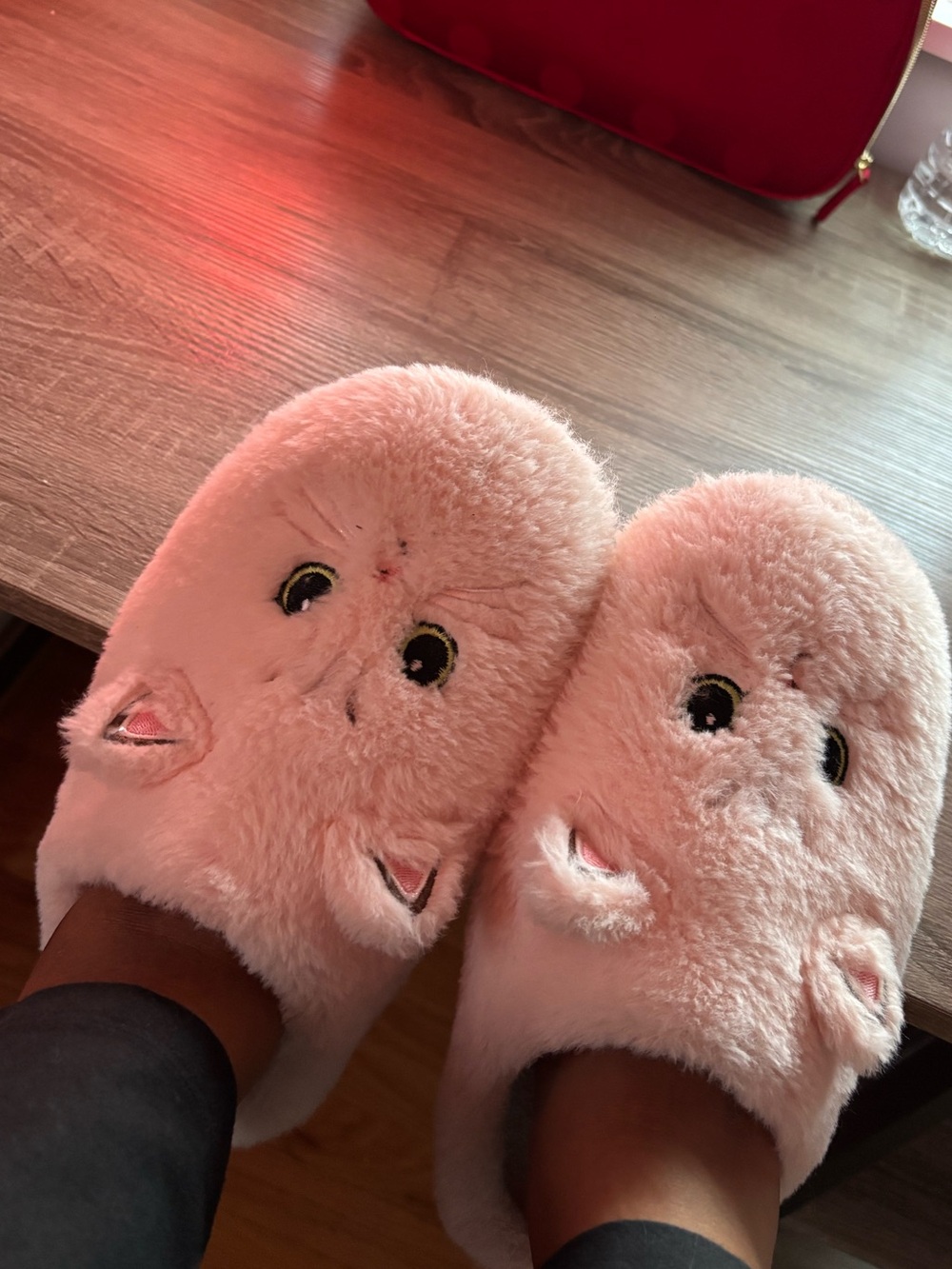 Worn in House Slippers